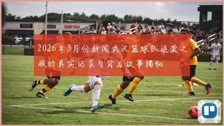 2026年3月份新闻武汉篮球队逆袭之旅的真实记录与背后故事揭秘