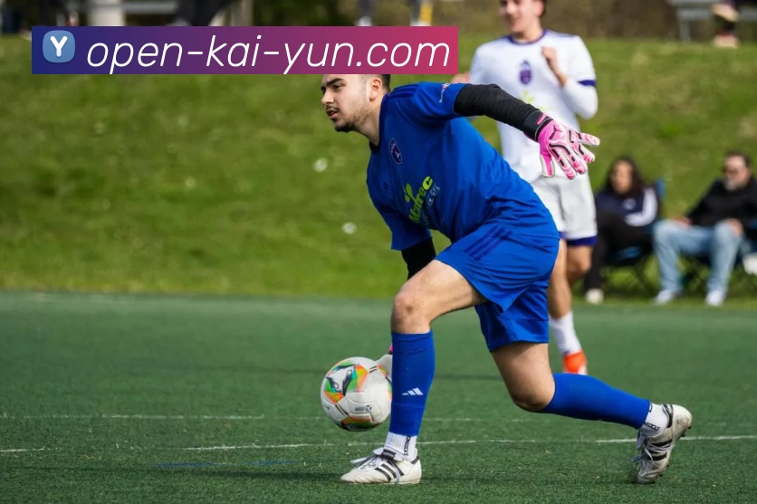 多媒体互动体验