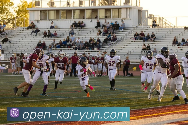 开云APP 体育赛事宣传图